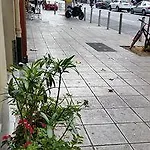 Evelia Hotel Nizza
